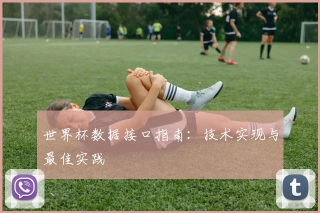 世界杯数据接口指南:技术实现与最佳实践