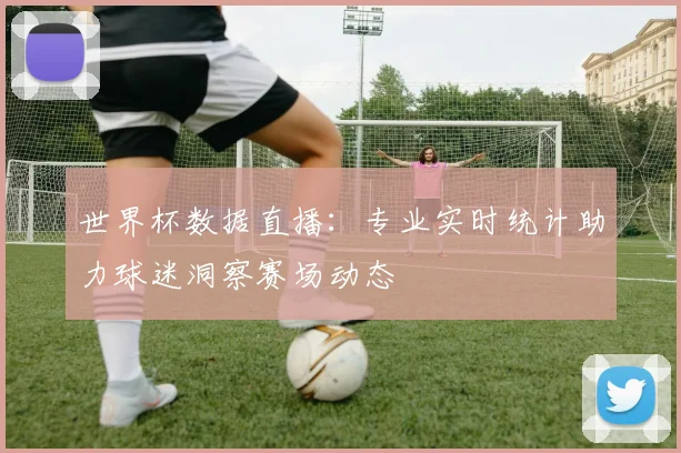 世界杯数据直播：专业实时统计助力球迷洞察赛场动态