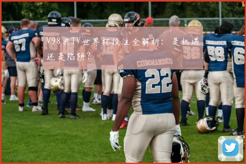 V98典TV世界杯投注全解析:是机遇还是陷阱?