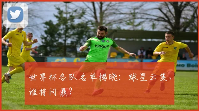 世界杯各队名单揭晓:球星云集,谁将问鼎?