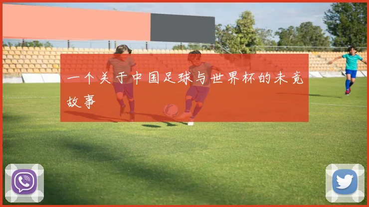 一个关于中国足球与世界杯的未竟故事