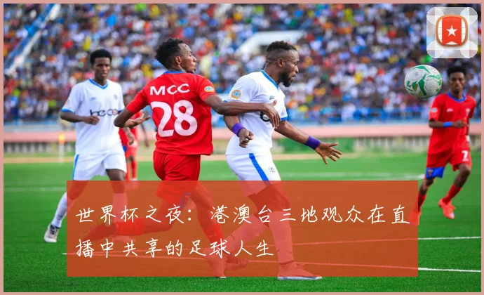 世界杯之夜:港澳台三地观众在直播中共享的足球人生