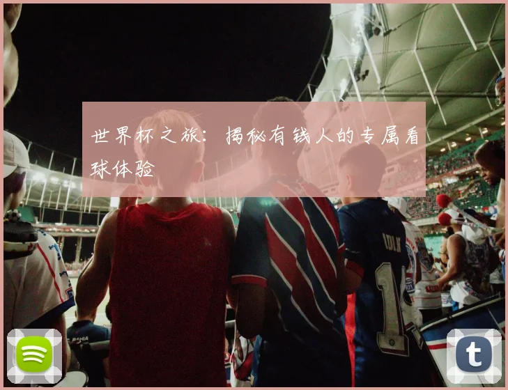 世界杯之旅：揭秘有钱人的专属看球体验