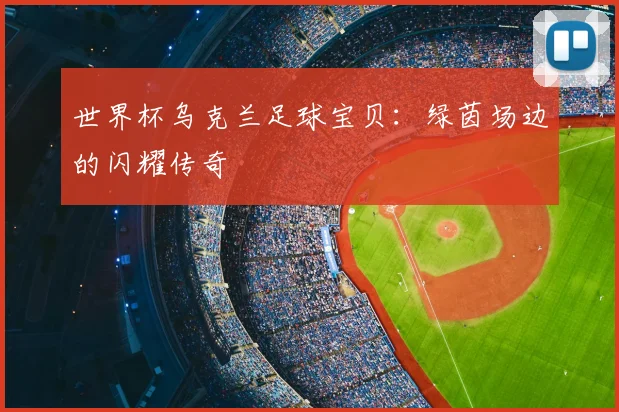 世界杯乌克兰足球宝贝:绿茵场边的闪耀传奇