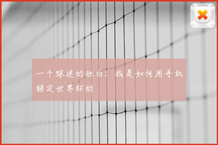 一个球迷的独白:我是如何用手机锁定世界杯的