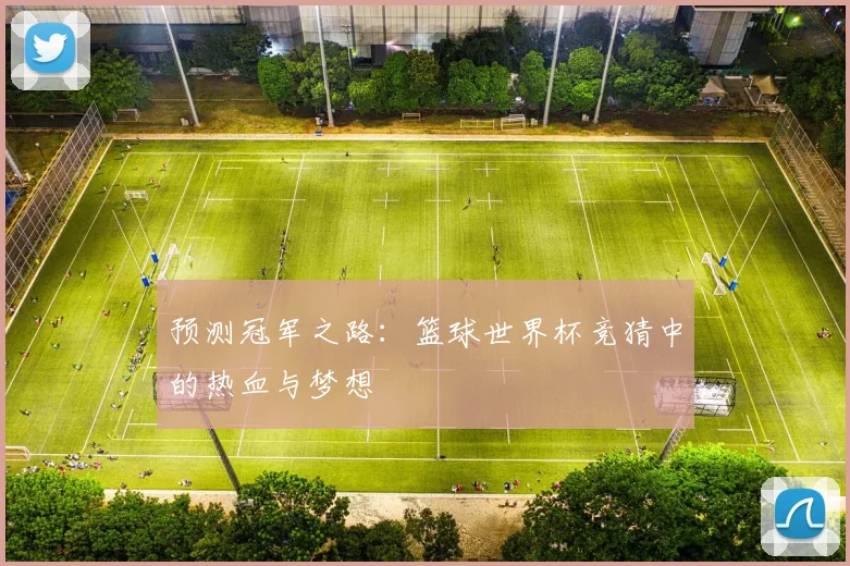 预测冠军之路：篮球世界杯竞猜中的热血与梦想
