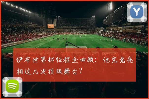 伊布世界杯征程全回顾：他究竟亮相过几次顶级舞台？
