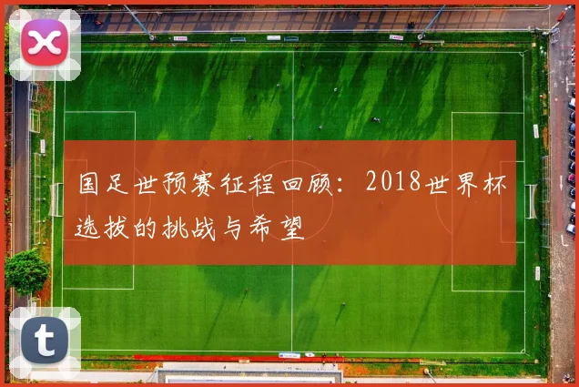 国足世预赛征程回顾：2018世界杯选拔的挑战与希望