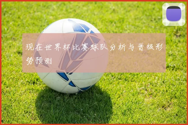 现在世界杯比赛球队分析与晋级形势预测