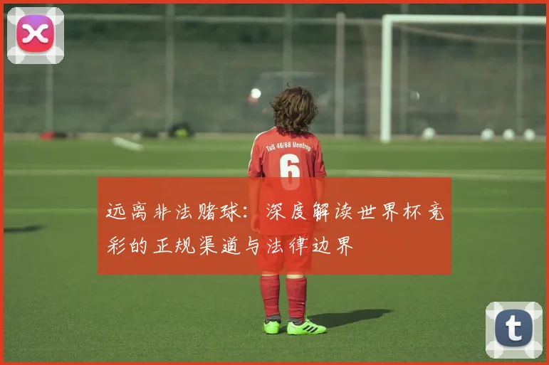远离非法赌球：深度解读世界杯竞彩的正规渠道与法律边界